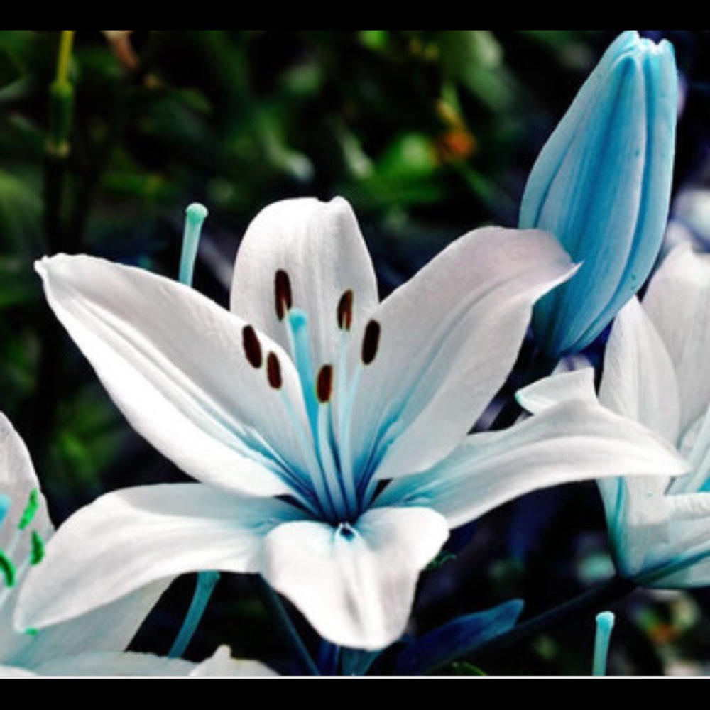 Meet your Posher, Sherry